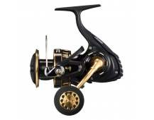 Катушка Daiwa 23 BG SW 6000D-H